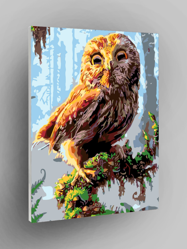 Картина по номерам &amp;quot;Сова на ветке дерева&amp;quot;
