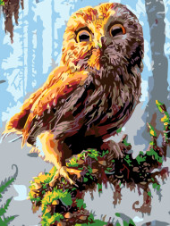 Raqamlar bo&#039;yicha rasm &quot;Daraxt shoxidagi ukki&quot;