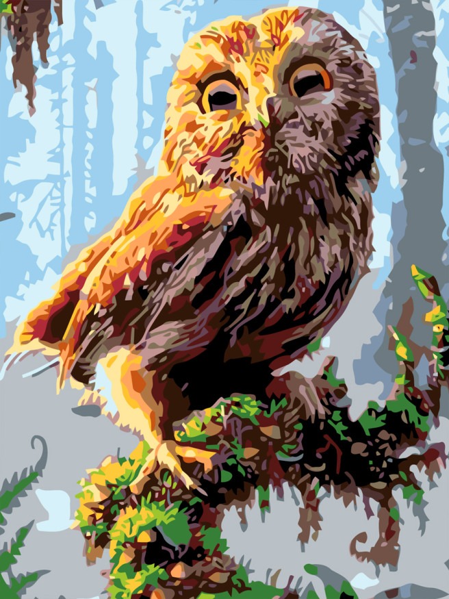 Картина по номерам &amp;quot;Сова на ветке дерева&amp;quot;