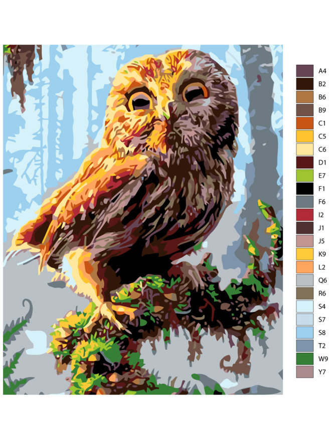 Картина по номерам &amp;quot;Сова на ветке дерева&amp;quot;