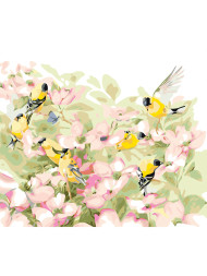 Raqamlar bo&#039;yicha rasm &quot;Qushlar va gullar&quot;