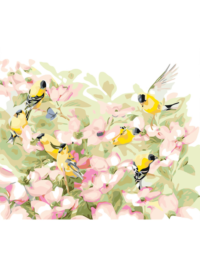 Raqamlar bo&amp;#039;yicha rasm &amp;quot;Qushlar va gullar&amp;quot;