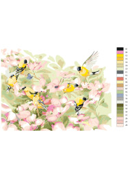 Raqamlar bo&#039;yicha rasm &quot;Qushlar va gullar&quot;