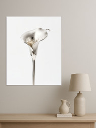 Holstga bosilgan poster "Kumush kalla"