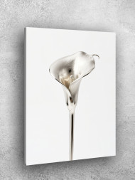 Holstga bosilgan poster "Kumush kalla"