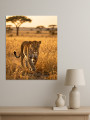 Постер на холсте &amp;quot;Леопард в саванне&amp;quot;