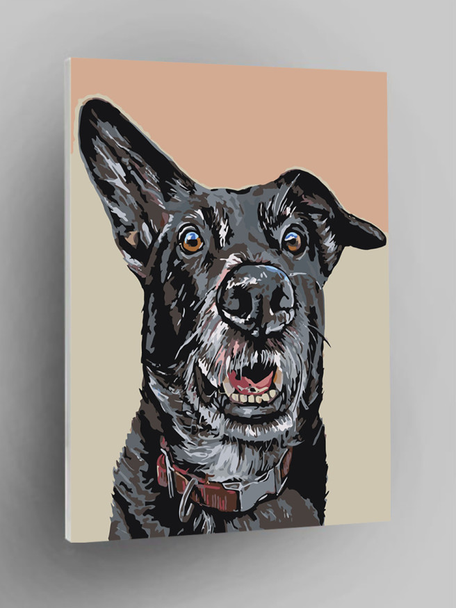 Картина по номерам &amp;quot;Домашний пёс&amp;quot;