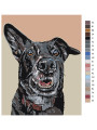 Картина по номерам &amp;quot;Домашний пёс&amp;quot;