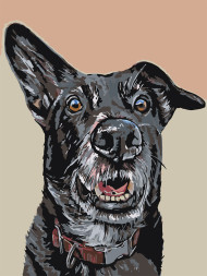 Raqamlar bo'yicha rasm "Uy iti"