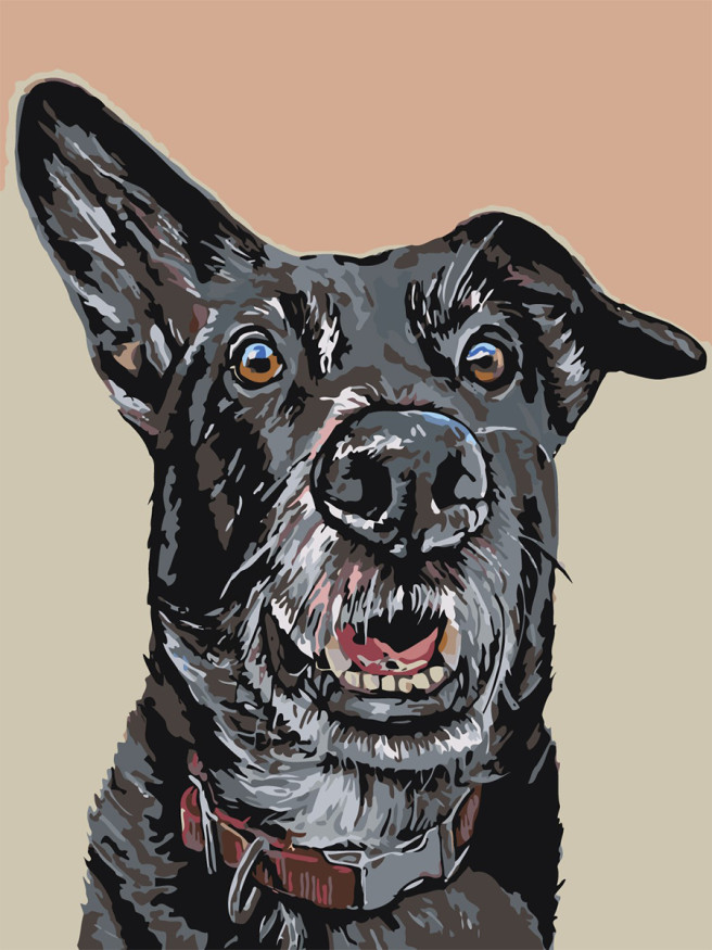 Картина по номерам &amp;quot;Домашний пёс&amp;quot;