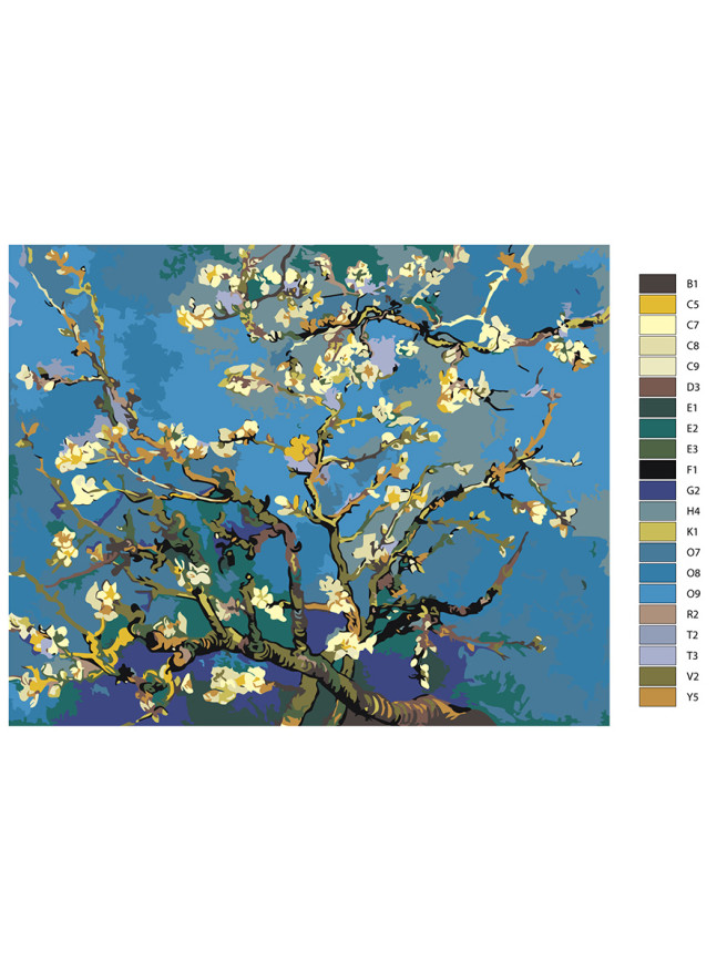 Raqamlar bo&amp;#039;yicha rasm &amp;quot;Vinsent Van Gog - Bodom gullari&amp;quot;