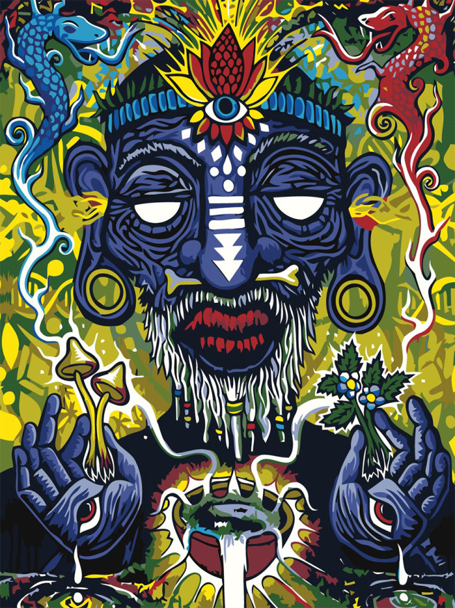 Картина по номерам &amp;quot;Древний шаман&amp;quot;