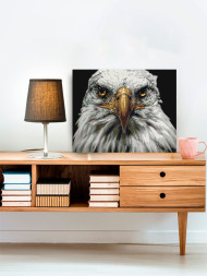 Raqamlar bo'yicha rasm "Oq burgut"