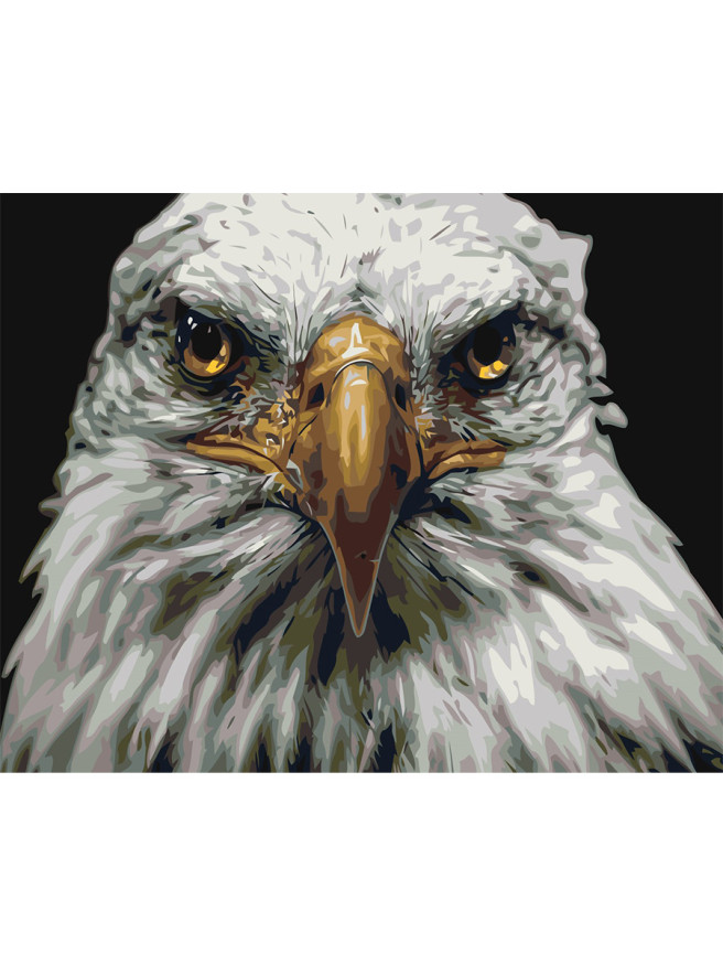 Raqamlar bo&amp;#039;yicha rasm &amp;quot;Oq burgut&amp;quot;