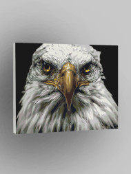 Raqamlar bo'yicha rasm "Oq burgut"