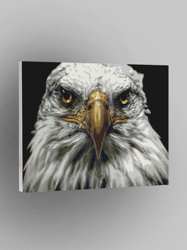 Raqamlar bo&amp;#039;yicha rasm &amp;quot;Oq burgut&amp;quot;