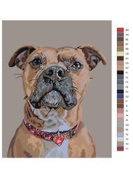 Raqamlar bo'yicha rasm "Buldog"