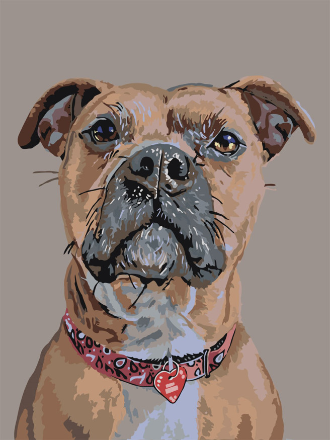 Raqamlar bo&amp;#039;yicha rasm &amp;quot;Buldog&amp;quot;