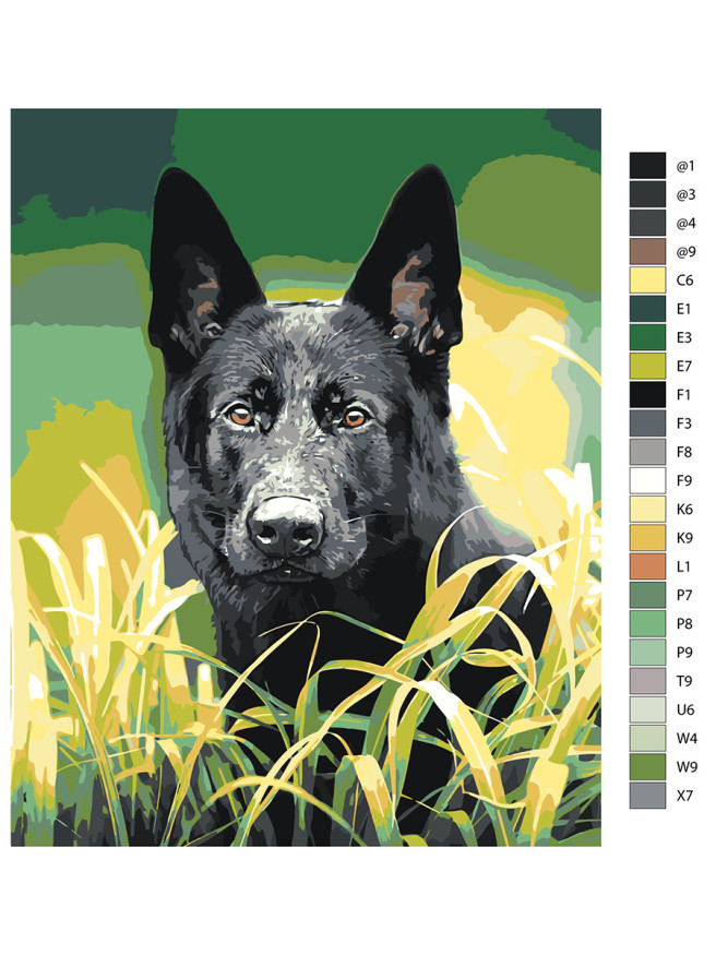 Картина по номерам &amp;quot;Чёрная собака&amp;quot;