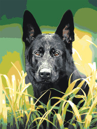 Raqamlar bo&#039;yicha rasm &quot;Qora it&quot;