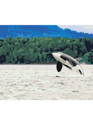 Raqamlar bo&#039;yicha rasm &quot;Qotil kit&quot;