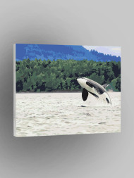 Raqamlar bo&#039;yicha rasm &quot;Qotil kit&quot;