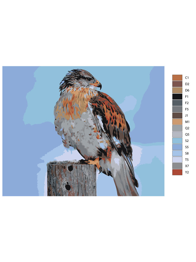 Картина по номерам &amp;quot;Орёл на охоте&amp;quot;