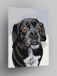 Raqamlar bo&#039;yicha rasm &quot;Qora it&quot;