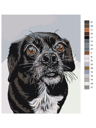 Raqamlar bo&#039;yicha rasm &quot;Qora it&quot;