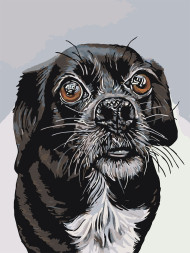 Raqamlar bo&#039;yicha rasm &quot;Qora it&quot;