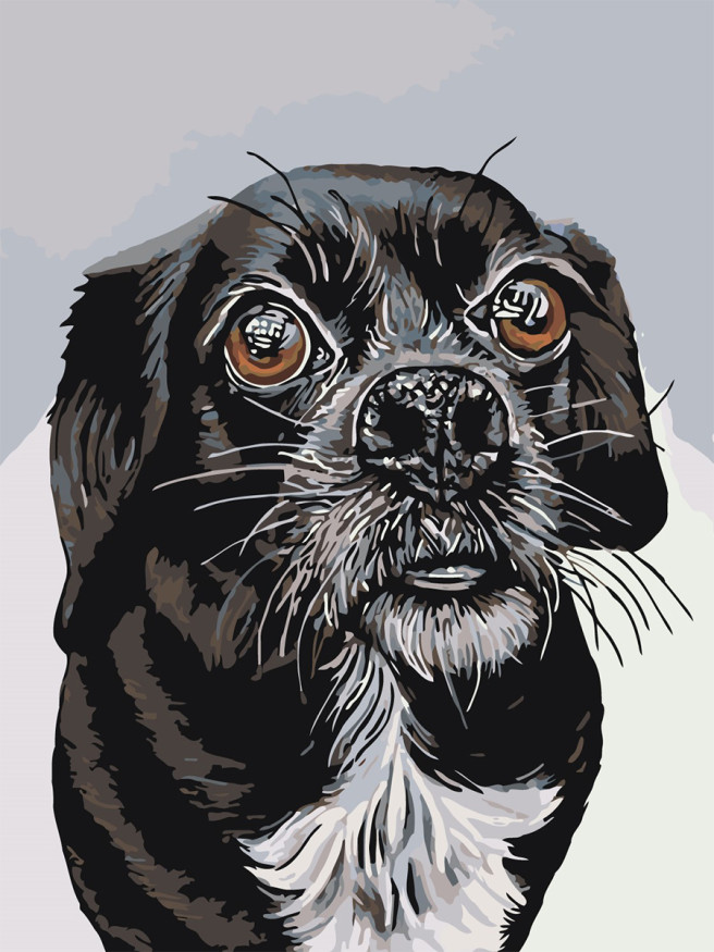 Raqamlar bo&amp;#039;yicha rasm &amp;quot;Qora it&amp;quot;