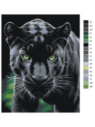 Raqamlar bo&#039;yicha rasm &quot;Chiroyli pantera&quot;