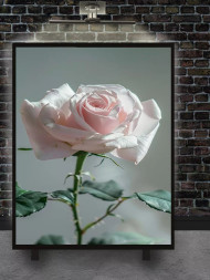 Постер на холсте &amp;quot;Одинокая роза&amp;quot;