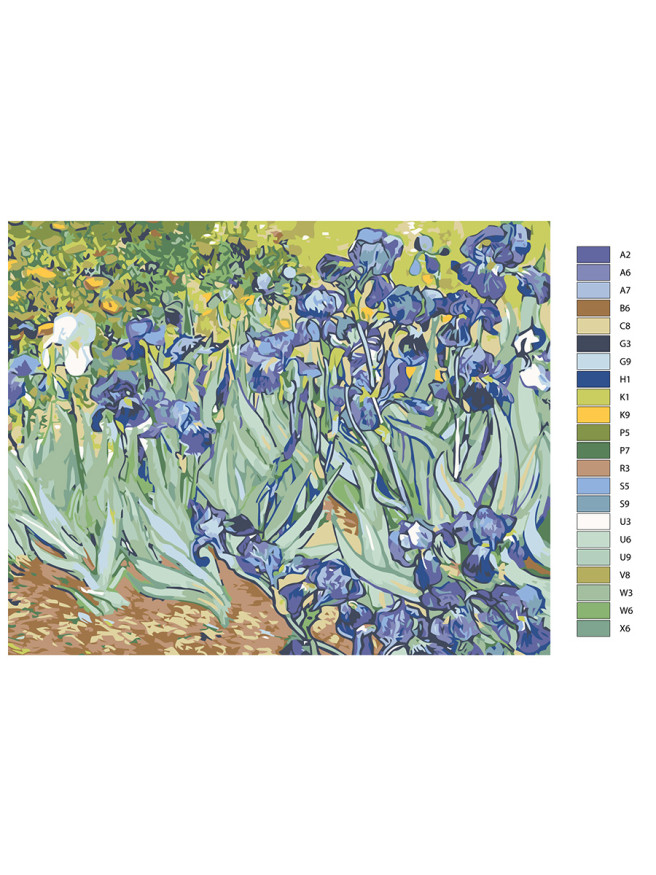Raqamlar bo&amp;#039;yicha rasm &amp;quot;Vinsent Van Gog - Irislar&amp;quot;