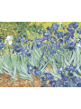 Raqamlar bo&amp;#039;yicha rasm &amp;quot;Vinsent Van Gog - Irislar&amp;quot;