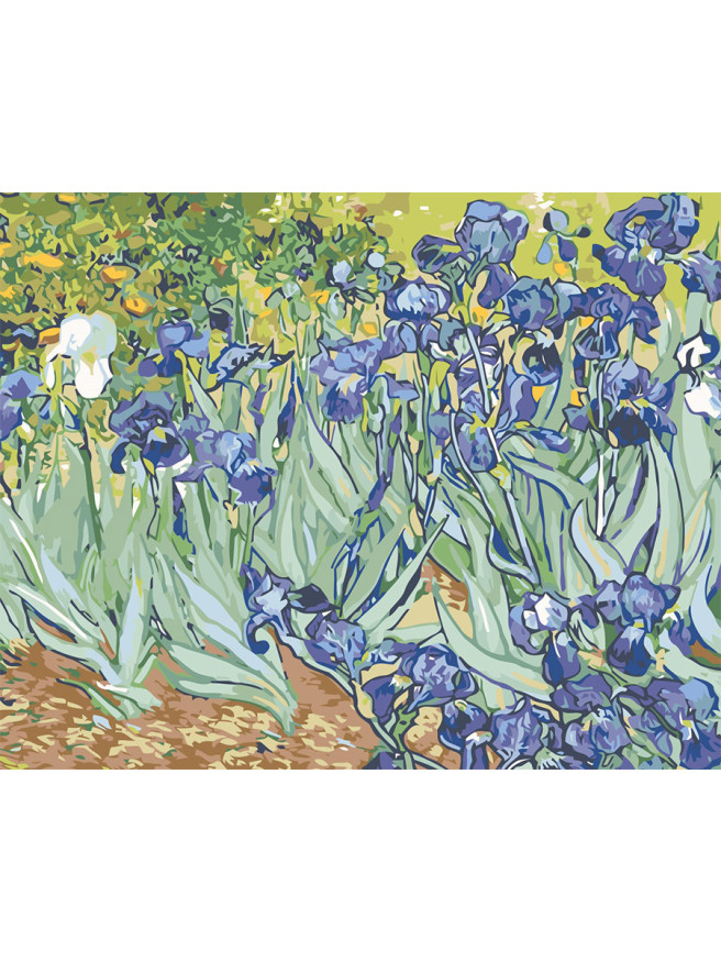 Raqamlar bo&amp;#039;yicha rasm &amp;quot;Vinsent Van Gog - Irislar&amp;quot;