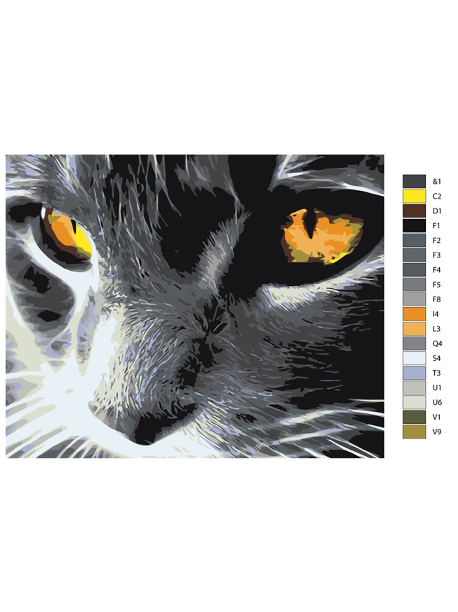 Raqamlar bo&amp;#039;yicha rasm &amp;quot;G&amp;#039;azablangan mushuk&amp;quot;