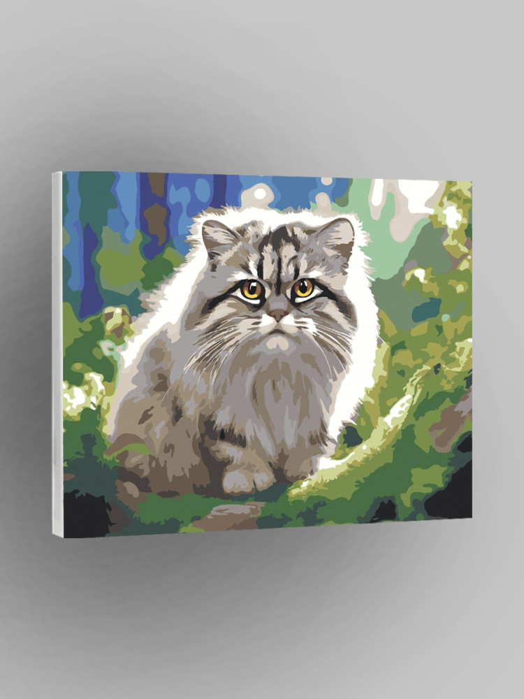 Kaluga haqiqiy jinsiy aloqa VK Bir fotosini katta xoroz tomonidan becerdin oladi