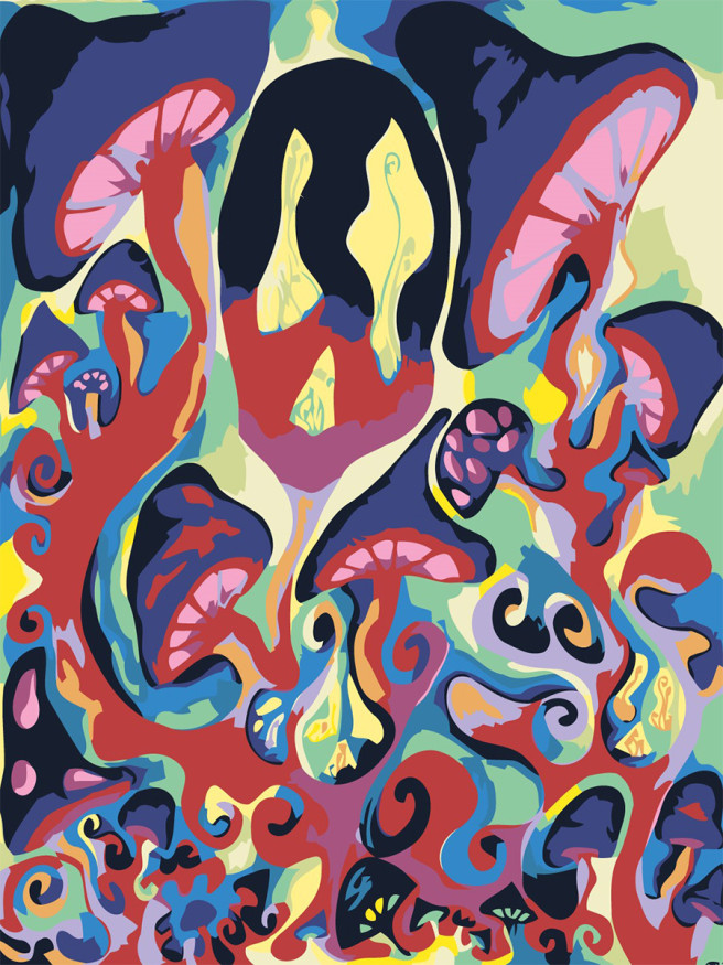 Raqamlar bo&amp;#039;yicha rasm &amp;quot;Qo&amp;#039;ziqorinlar&amp;quot;