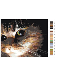 Raqamlar bo&#039;yicha rasm &quot;Zanjabil mushuk&quot;