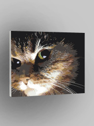 Raqamlar bo&#039;yicha rasm &quot;Zanjabil mushuk&quot;