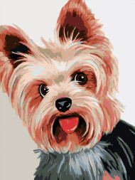 Raqamlar bo&#039;yicha rasm &quot;Kuchuk rasmi&quot;