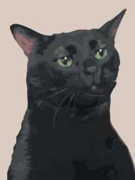 Raqamlar bo&#039;yicha rasm &quot;Qora mem mushuk&quot;