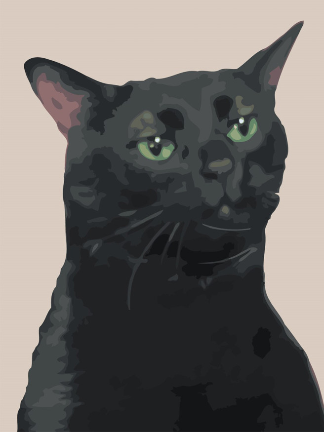 Raqamlar bo&amp;#039;yicha rasm &amp;quot;Qora mem mushuk&amp;quot;