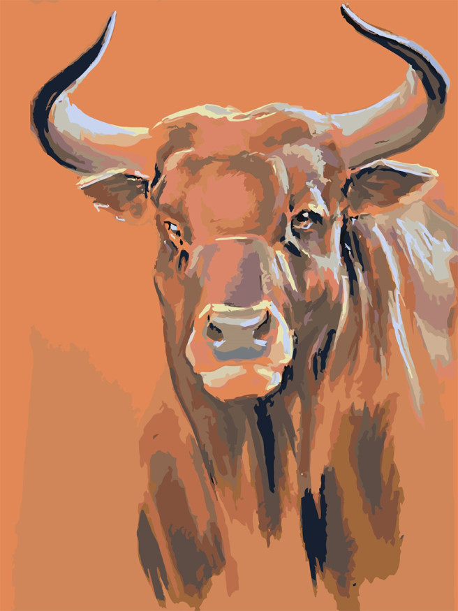 Raqamlar bo&amp;#039;yicha rasm &amp;quot;Buqa&amp;quot;