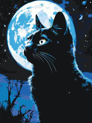 Raqamlar bo'yicha rasm "Qora mushuk va oy"