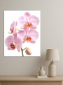 Постер на холсте &amp;quot;Нежные цветы орхидеи&amp;quot;