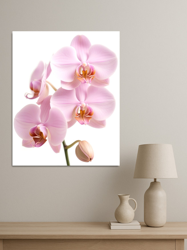 Постер на холсте &amp;quot;Нежные цветы орхидеи&amp;quot;