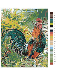 Raqamlar bo&#039;yicha rasm &quot;Xo&#039;roz&quot;