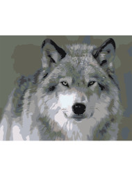 Картина по номерам "Волк"
